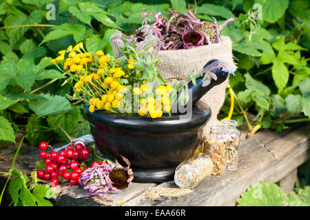 heilende Kräuter im Mörser, Kräutermedizin Stockfoto