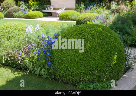 Chelsea Flower Show 2014 abgeschnitten Kasten (Buxus) Kugeln pointierenden mehrjährige krautige Pflanzen. Rasenflächen und kleine Terrasse Stockfoto