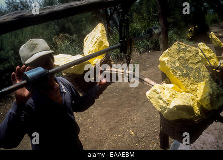 Ein Schwefelminer wiegt seine Last an einem Kontrollpunkt der Schwefel-Bergbau-Genossenschaften des Mount Ijen. Stockfoto