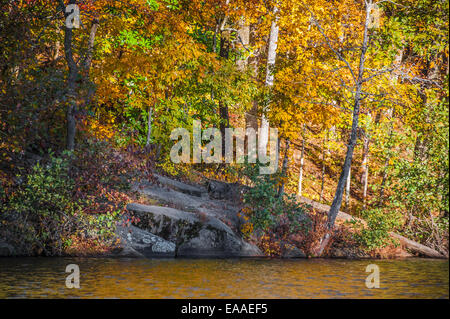 Sonne leuchtet die Herbstfarben entlang der felsigen Küste im Stone Mountain Park in Atlanta, Georgia, USA. Stockfoto