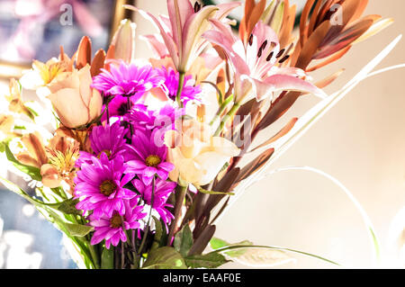 Blume Blumen-Arrangement Seitenlicht [high-Key] Stockfoto