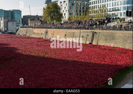 London, UK Tower of London. Massen strömen, um die 888,246 Keramik rot Erinnerung Mohnblumen am 100. Jahrestag des 1. Weltkrieges zu sehen. Stockfoto