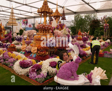 Chelsea Flower Show 2014. Abschluss der Orchidee Thailand Thais anzeigen Stockfoto