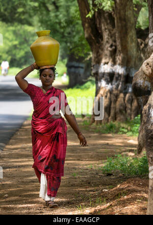 Indische Frau trägt Topf mit Wasser auf dem Kopf entlang einer schattigen Landstraße. Stockfoto