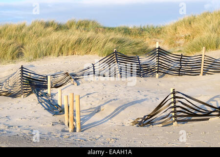 England, Sussex, West Wittering. Sand Zäune, die entworfen, um die Dünen sind Bestandteil der Küstenschutz-System zu stabilisieren. Stockfoto