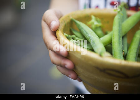 Person, die Schüssel mit frisch gepflückten Erbsen. Stockfoto