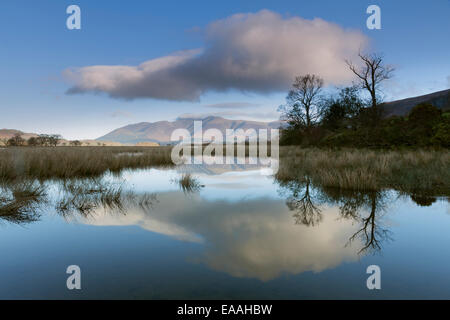 Skiddaw fotografiert von Borrowdale in Cumbria, November 2014 Stockfoto