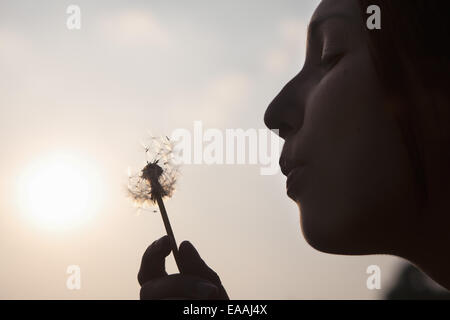 Eine junge Frau bläst einen Löwenzahn Seedhead. Silhouette. Stockfoto