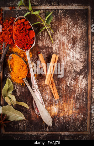 Verschiedene Arten von Gewürzen auf Holzbohlen Stockfoto