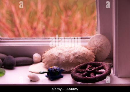 Innenraum der alten Maine Küsten Heim Fensterbank mit Stillleben mit Muscheln und sonstige Objekte. Stockfoto