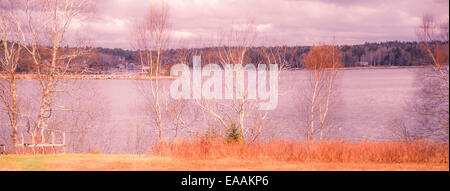 Seelandschaft, durch ein warmes farbiges Feld & Birke Linie von Bäumen zu lehren Harbor, Maine. Stockfoto
