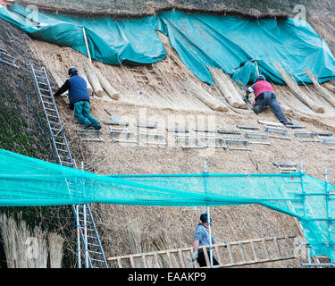 Dach Thatchers auf ein Haus erneuern das Strohdach am November 8,2014. Stroh ist eine tradition Stockfoto