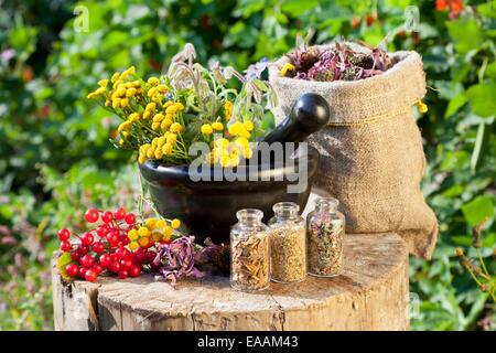 heilende Kräuter im Mörser und im Sack, Kräutermedizin Stockfoto