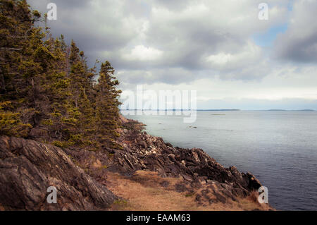 Seascape Vista vorbei an einem felsigen Ufer und Baumgrenze nach Island und Horizont in der Ferne suchen. Stockfoto