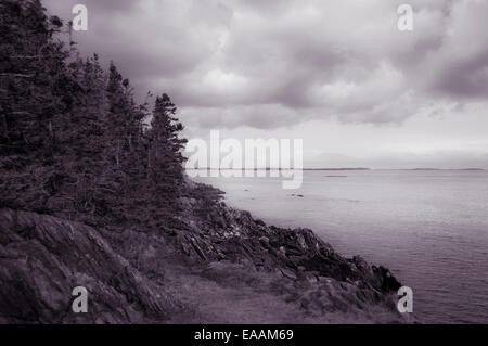 Seascape Vista vorbei an einem felsigen Ufer und Baumgrenze nach Island und Horizont in der Ferne suchen. Stockfoto