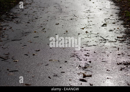 Nasse Asphaltstraße mit Blätter Stockfoto