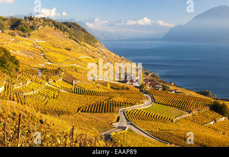 Das Dorf Epesses im Welterbegebiet Lavaux, Schweiz Stockfoto