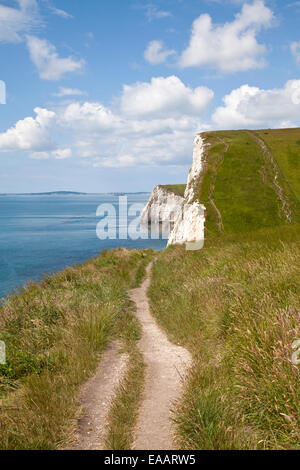 Dorset Klippen in der Nähe von Durdle dor Stockfoto