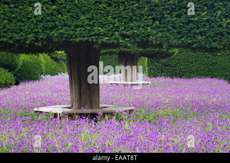 Levens Hall Cumbria Gärten und Formschnitt Stockfoto