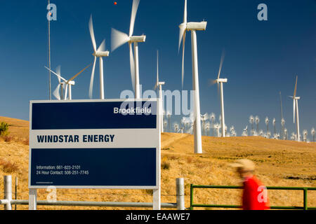 Bestandteil der Tehachapi Pass Wind farm, das erste groß angelegte Wind Farmgebiet entwickelt in den USA, California, USA. Stockfoto