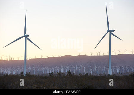 Bestandteil der Tehachapi Pass Wind farm, das erste groß angelegte Wind Farmgebiet bei Sonnenuntergang in den USA, California, USA, entwickelt. Stockfoto