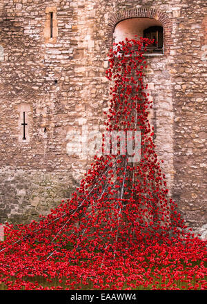 Blut gefegt, Länder und Meere rot Stockfoto