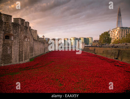 Blut gefegt, Länder und Meere rot Stockfoto