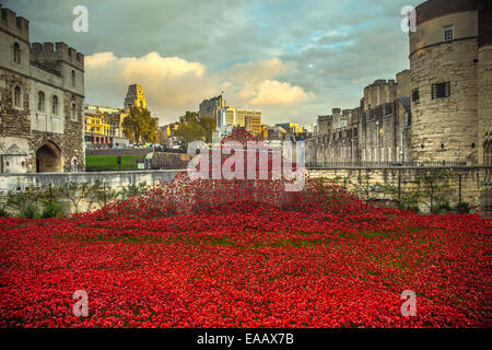 Blut gefegt, Länder und Meere rot Stockfoto