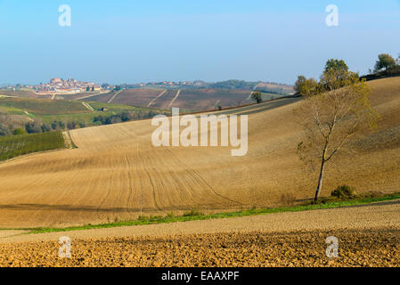 Angenehme Landschaft der Hügel des Monferrato, eine Region Piemont bekannt für seine Weinberge und UNESCO-Weltkulturerbe Stockfoto