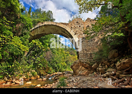 Alte Stein gewölbten Brücke über Neda Fluss in Neda Schlucht, an den "Grenzen" der & Ilia Messinia, Peloponnes, Griechenland Stockfoto