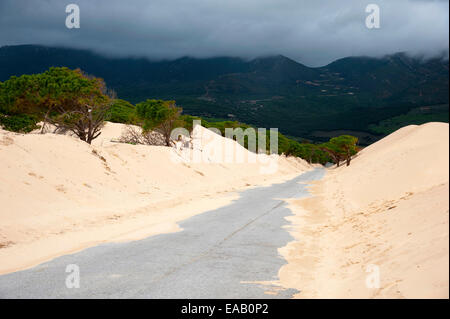 Wanderdünen von Bolonia in Tarifa, Andalusien, Spanien Stockfoto