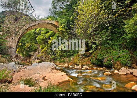 Alte Stein gewölbten Brücke über Neda Fluss in Neda Schlucht, an den "Grenzen" der & Ilia Messinia, Peloponnes, Griechenland Stockfoto