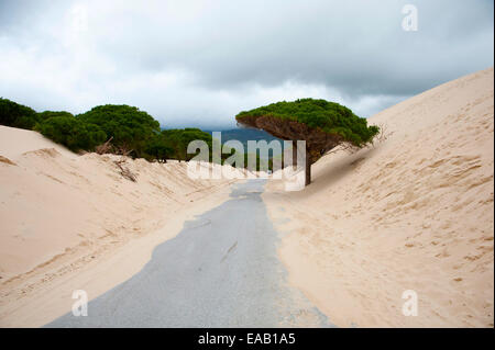 Wanderdünen von Bolonia in Tarifa, Andalusien, Spanien Stockfoto