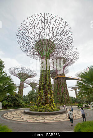 Menschen, die in den Schatten gestellt durch immense Supertrees, vertikale Gärten, verbunden durch hohe Skyway in Singapurs große Gardens By The Bay Stockfoto