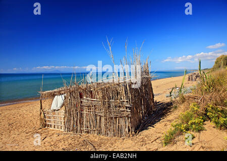 Hütten von Reed in Marathias Beach, in der Nähe von Kourouta Dorf gemacht Ilia, ("Elis"), Peloponnes, Griechenland. Stockfoto