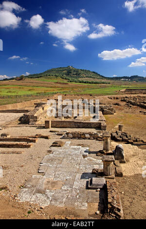 Ruinen der antiken Stadt-Zustand von Elis (Ilida), Austragungsort der Olympischen Spiele der Antike, Ilia, Peloponnes, Griechenland. Stockfoto