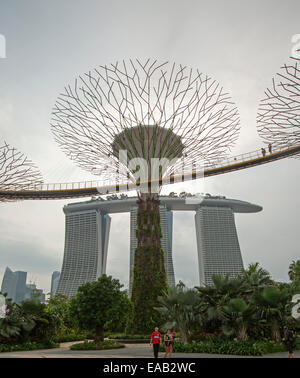 Blick auf immense "Supertree", einen vertikalen Garten, hohe Skyway-Plattform in Singapurs Gardens By The Bay & riesige Casino / Hotel Stockfoto