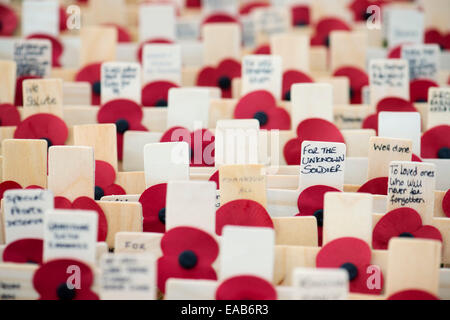 Für den unbekannten Soldaten. Gedenken Kreuze und Mohn Stockfoto