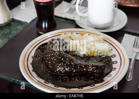 Mole Poblano, Mexico City, Mexiko Stockfoto