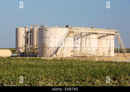 Ein Fracking Seite Fracking in der Nähe von Wasco im kalifornischen Central Valley, USA, neben einem Bauern Baumwollernte. Fracking für natura Stockfoto