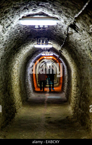 Salina Turda ist ein Salz mine befindet sich im Durgaus-Valea Sarata Bereich von Turda, Rumänien Stockfoto