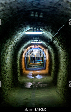 Salina Turda ist ein Salz mine befindet sich im Durgaus-Valea Sarata Bereich von Turda, Rumänien Stockfoto