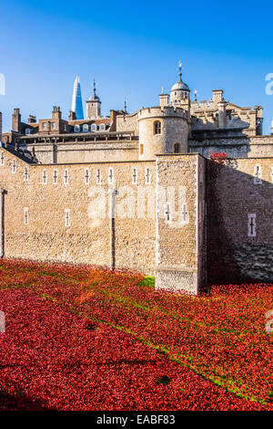 Blut fegte Lands & See rot an der Tower of London Stockfoto