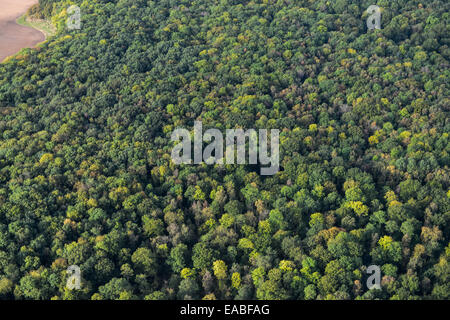 Eine Luftaufnahme des Baldachins von Wald in England Stockfoto