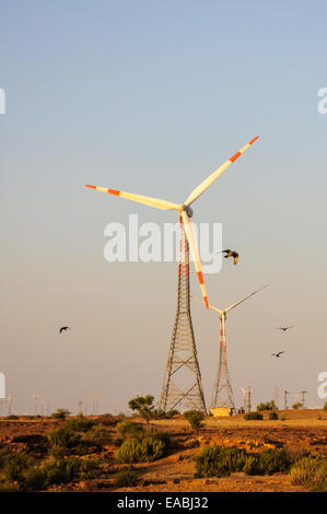 Stromerzeugung, die Windmühlen in der indischen Thar Wüste Ernte Windenergie Stockfoto