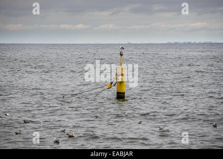 Ostsee in Orlowo Bezirk in Gdynia, Polen Stockfoto