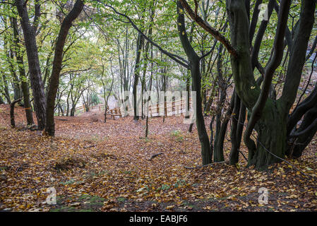 Klippe-wie Küste (Kepa Redlowska) über Ostsee am Rande des Redlowo und Orlowo Bezirke in Gdynia, Polen Stockfoto