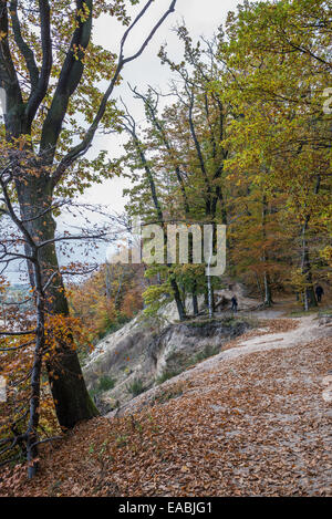 Klippe-wie Küste (Kepa Redlowska) über Ostsee am Rande des Redlowo und Orlowo Bezirke in Gdynia, Polen Stockfoto