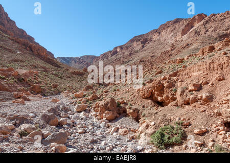 Dades Schlucht im Atlasgebirge, Marokko, Afrika Stockfoto