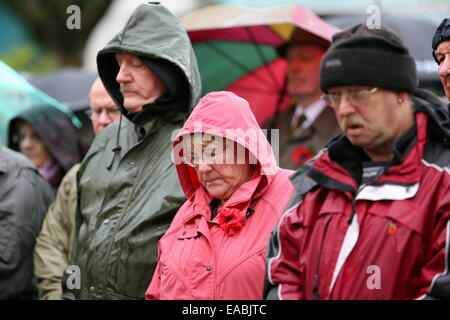 Swansea UK. Dienstag, 11. November 2014 im Bild: Menschen beobachten der Minute Re zum Schweigen zu bringen: Tag des Waffenstillstands beobachtet bei Castle Square Gardens, South Wales Swansea, UK Credit: D Legakis/Alamy Live News Stockfoto